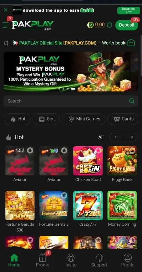 PAKPLAY Game