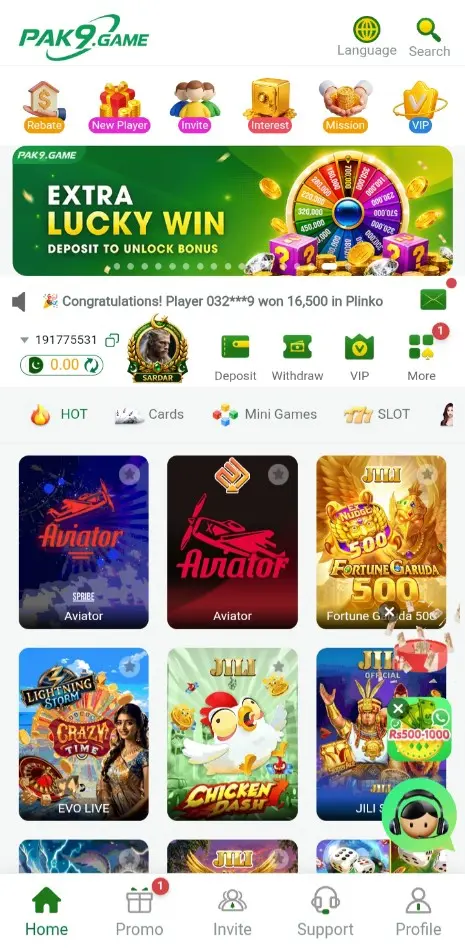 Pak9 Game